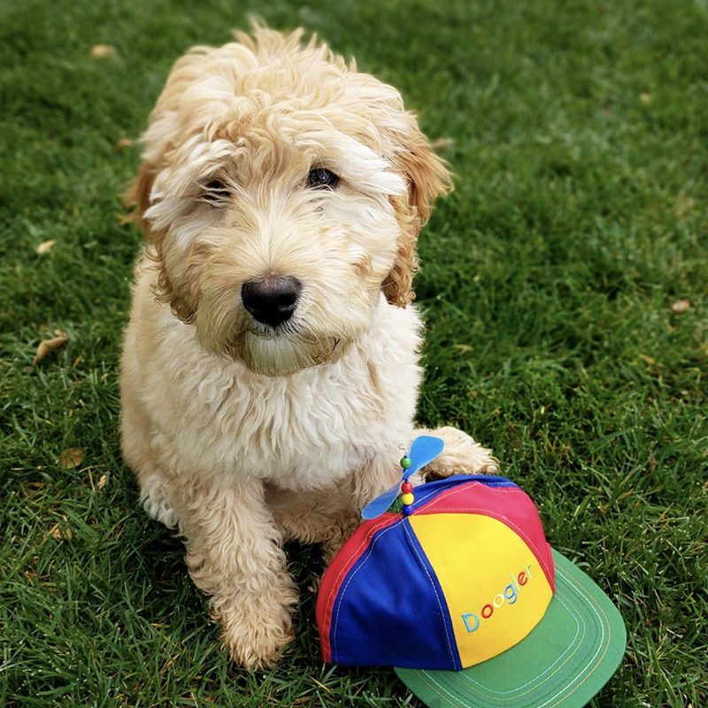 Jeffree sitting on grass beside a multicoloured Doogler propeller cap.
